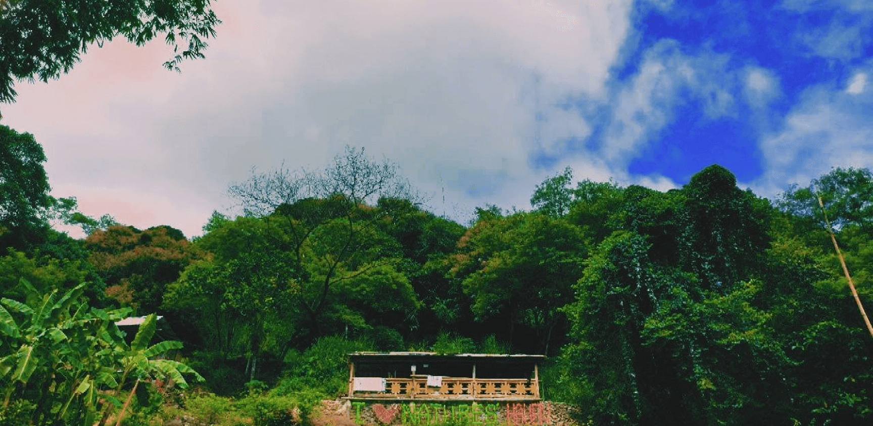 header background image